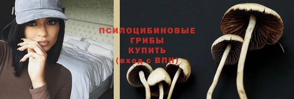 стаф Армянск
