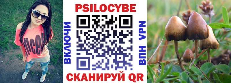 купить закладку  Ртищево  Псилоцибиновые грибы GOLDEN TEACHER 